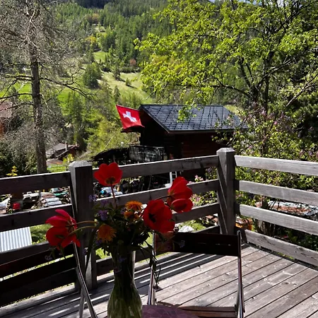 Chalet Grange De Fonville - - Valais