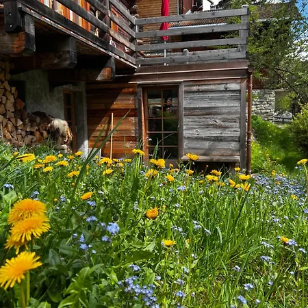 Grange De Fonville - - Valais Chalet Evolène