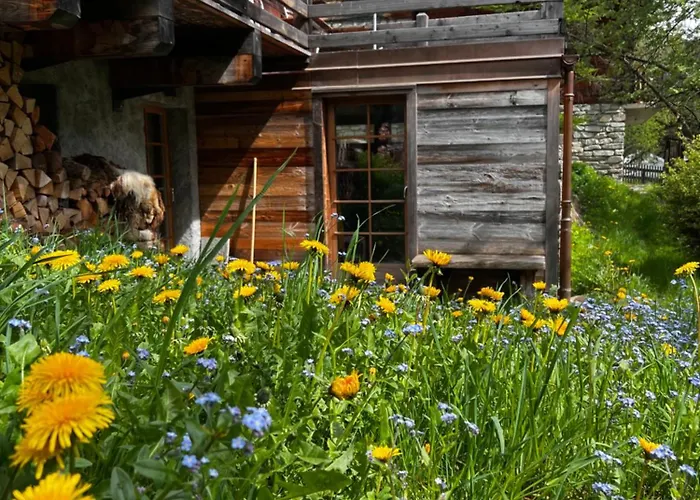 Grange De Fonville - - Valais Chalet Evolène