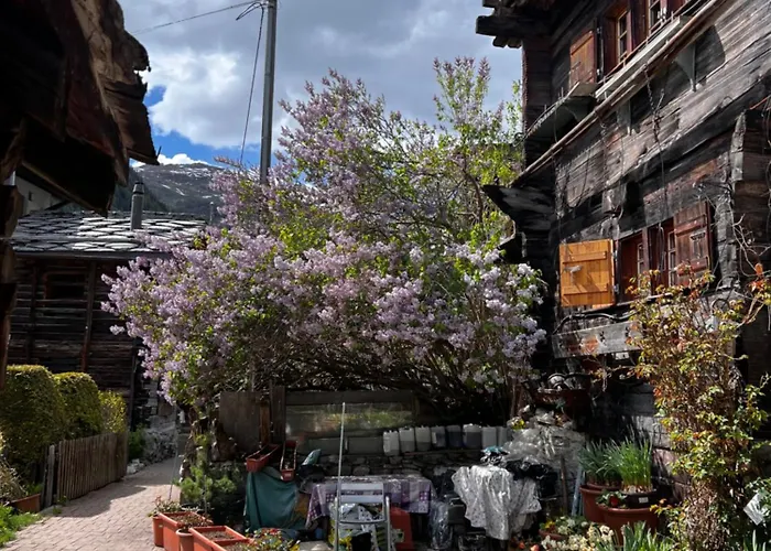 Chalet Grange De Fonville - - Valais Evolène